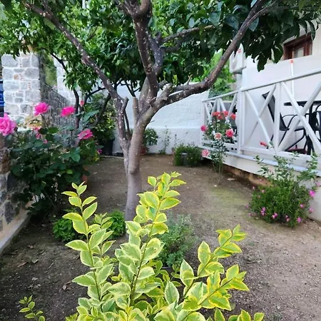 Stavroula's House